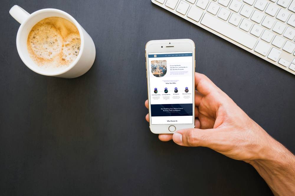 B2B Platform Website image.